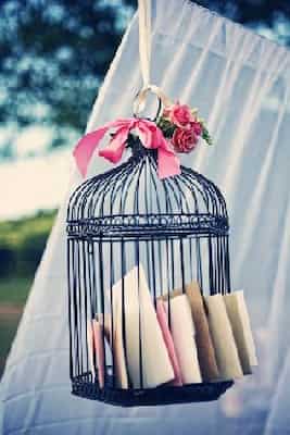 80th Birthday Cards Birdcage