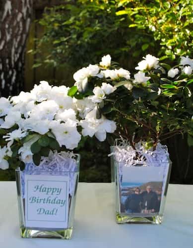 Azalea 80th Birthday Decorations