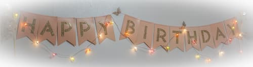 50th Birthday Banner 50th Birthday Banner