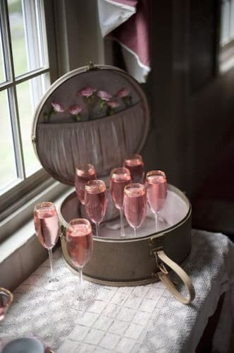 Cheers to Good Times and Special Occasions. Champagne Flutes of Punch Served from a Suitcase.