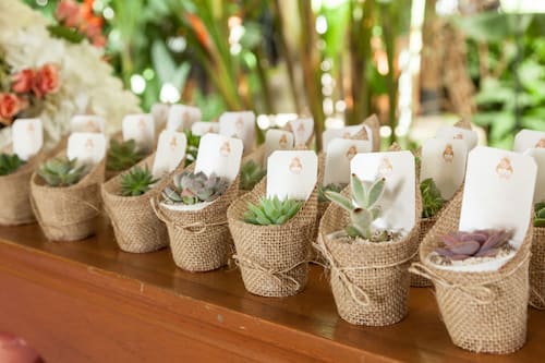 Give a Gift that Lasts Long After the Bridal Shower:  Mini-Succulent Plants. Succulent Bridal Shower Favors Wrapped in Burlap.