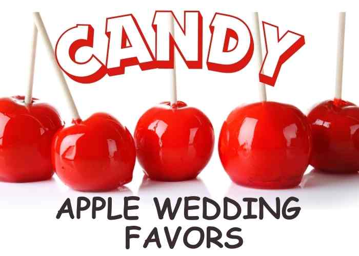 A candy apple wedding favor is a fun way to celebrate happiness.  Using the wedding theme as inspiration, stick it to every detail of the apple.