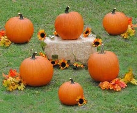 Pumpkin Ring Toss Halloween Kids Games