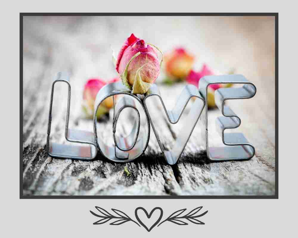 Let bridal shower invitation ideas guide you in making the perfect selection.  From classic to themed, your invitations will be light, bright and inviting.