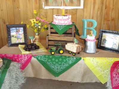 20 John Deere Tractor Birthday Party Ideas - Pretty My Party