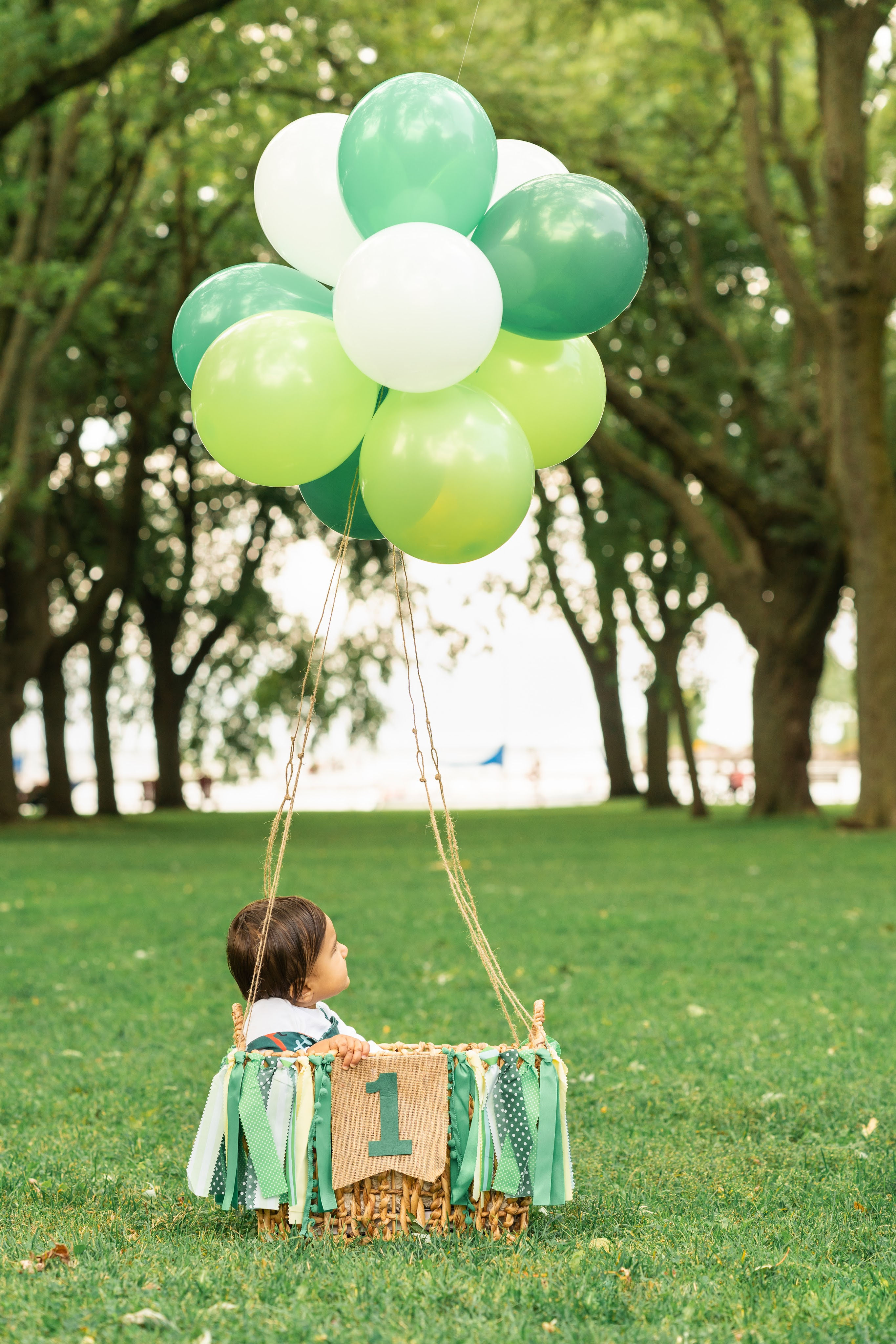 diy-1st-birthday-photo-shoot-ideas