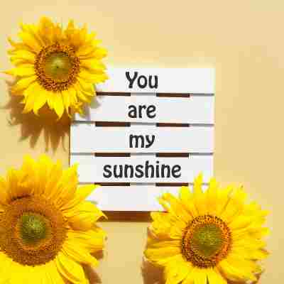 Summer Baby Shower You Are My Sunshine Theme