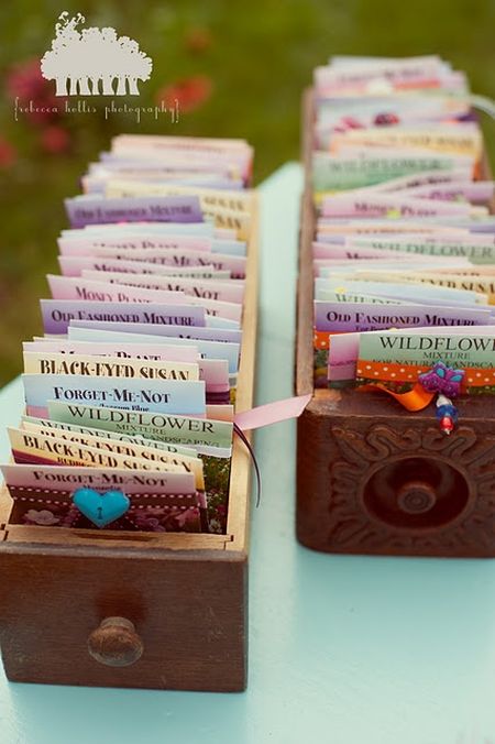 Seed Packet Favor Presentation