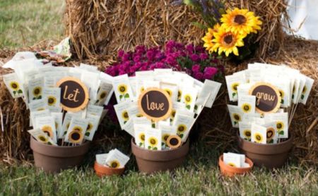 Naturally Pretty Seed Packet Favors