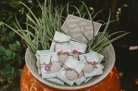 Seed Packet Urn Display