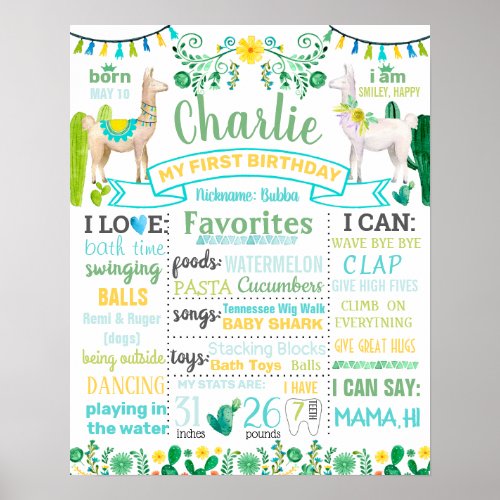 Zazzle Llama Birthday Party Ideas Mexican Poster