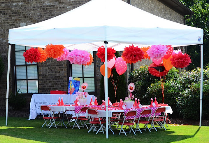 Elmo Birthday Party Ideas For Girls