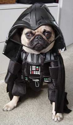 Darth Vader Halloween Costumes For Dog