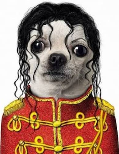 Michael Jackson Pet Costume