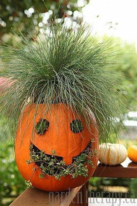 Planted Halloween Pumpkin Carving Ideas