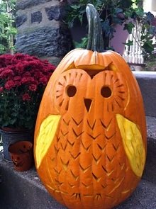 Owl Halloween Pumpkin Carving Ideas