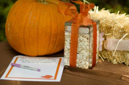 Halloween Pumpkin Seed Contest