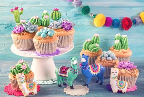 Llama Birthday Party Ideas